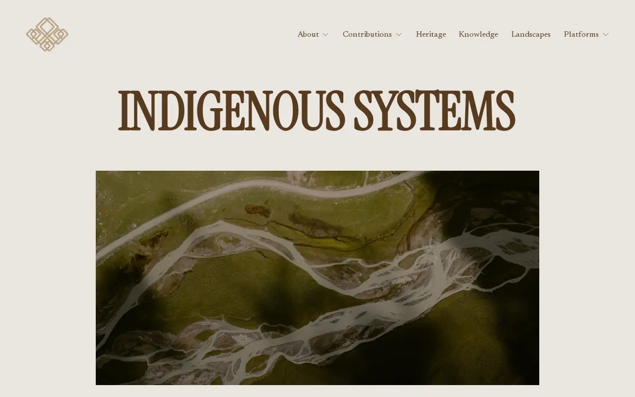 Indigenous Systems website preview