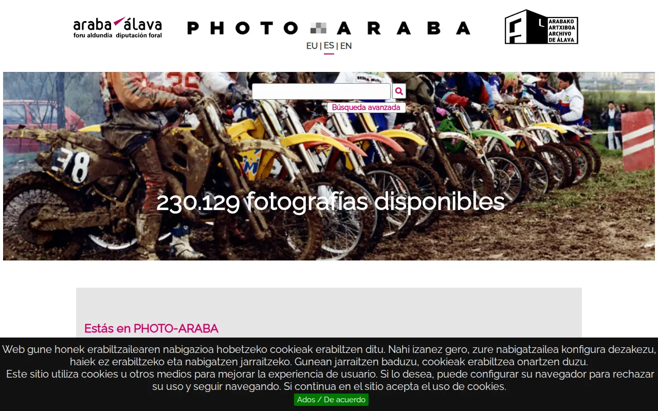 Photo Araba website preview
