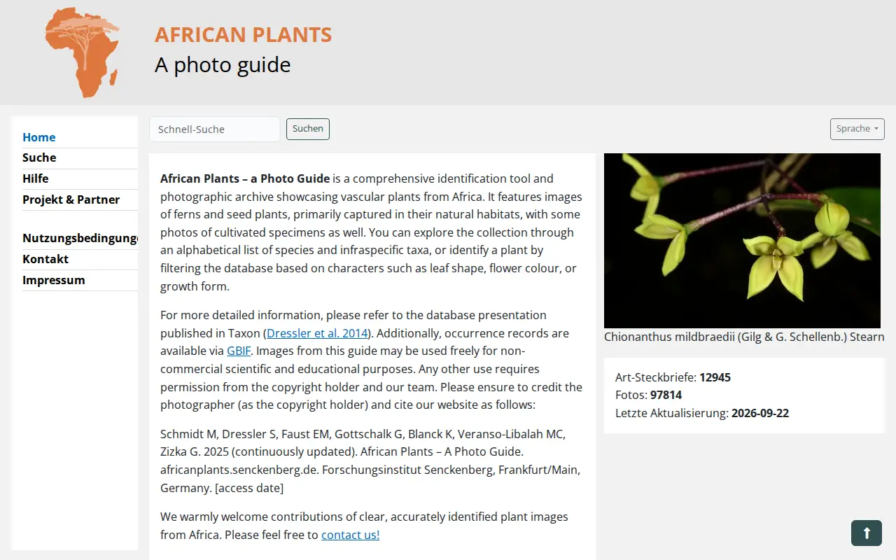 African Plants website preview
