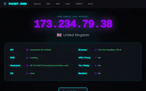 Preview of packet.guru