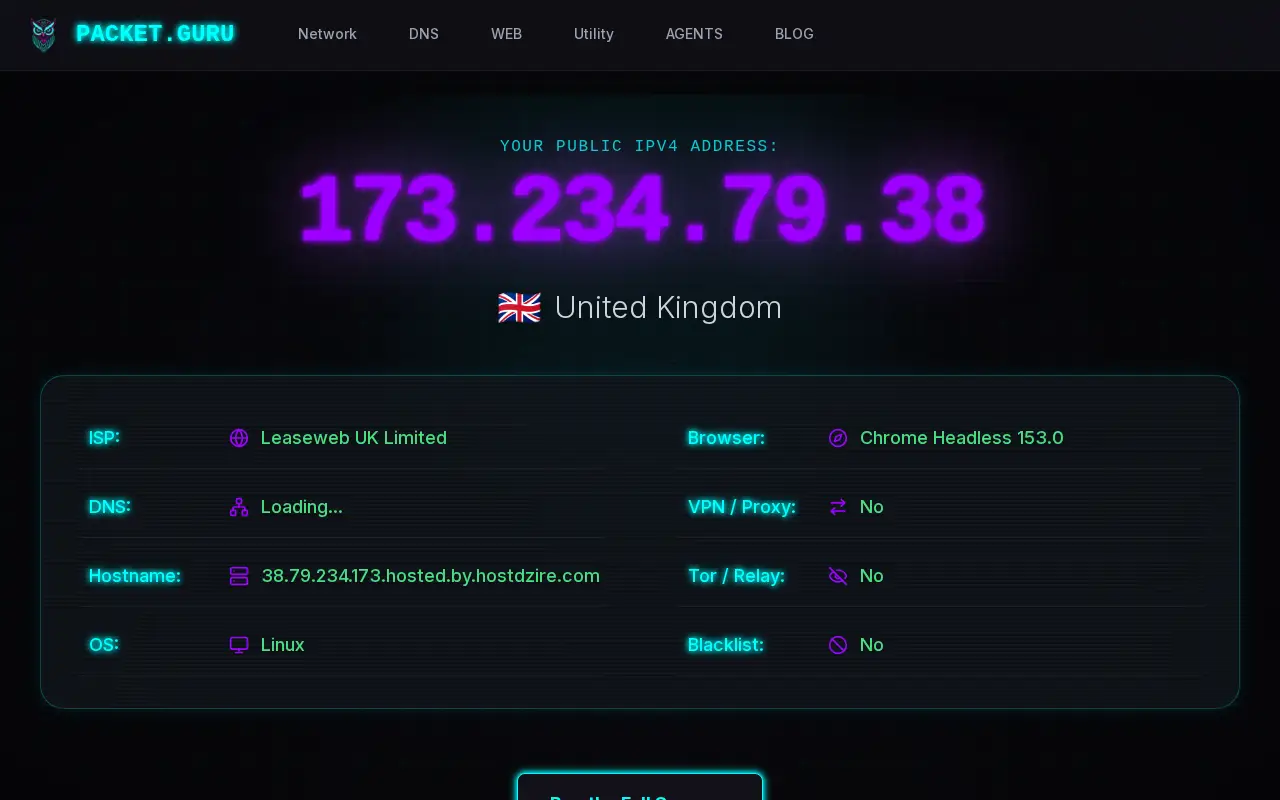 packet.guru website preview