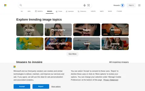 Preview of Bing Images