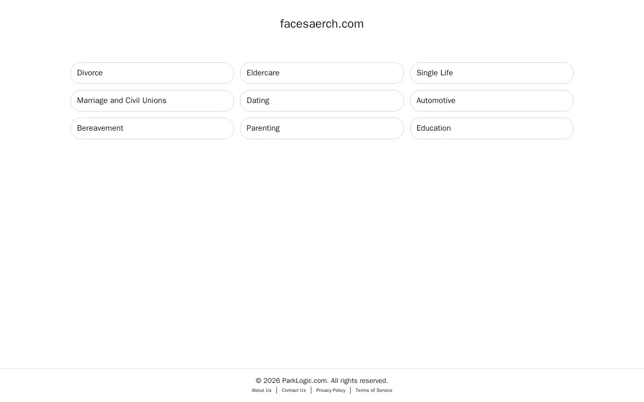 facesaerch website preview