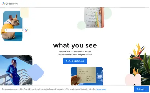 Preview of Google Lens