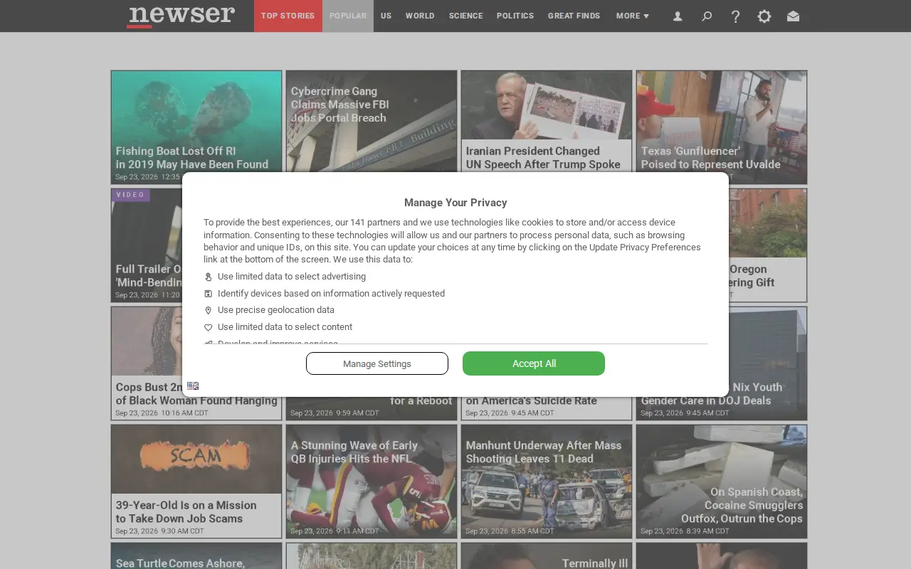 Newser website preview