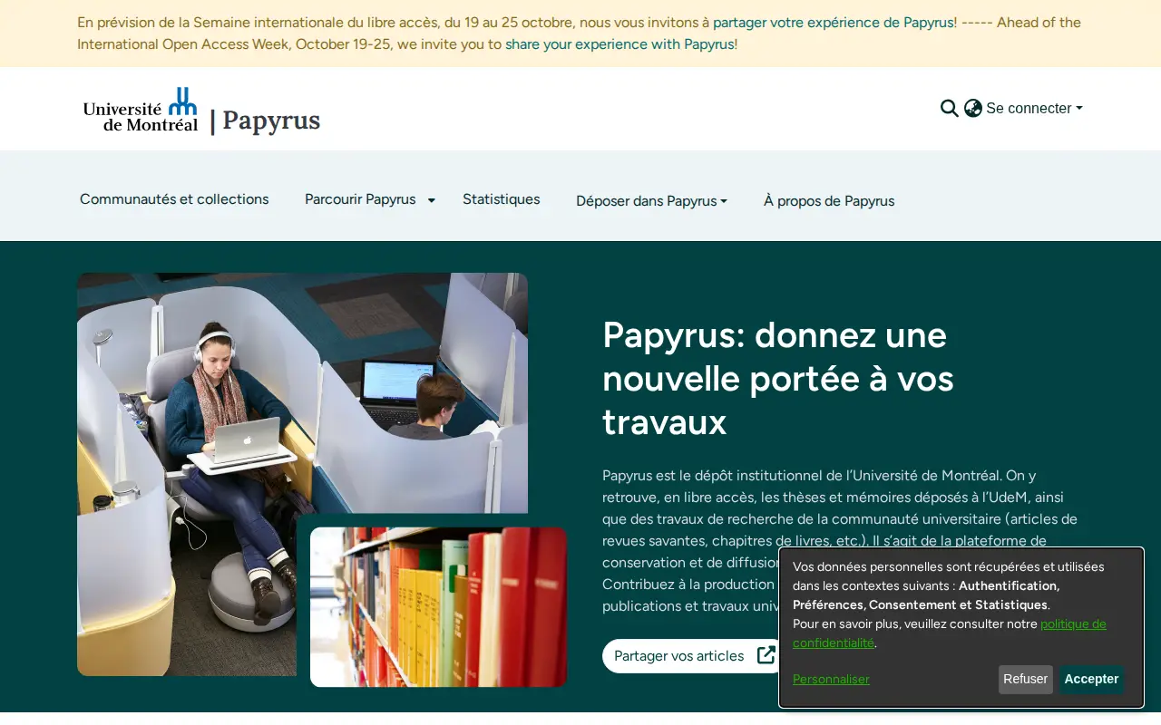 Dépôt Institutionnel Numérique website preview